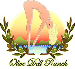 Olive Dell Ranch in Colton